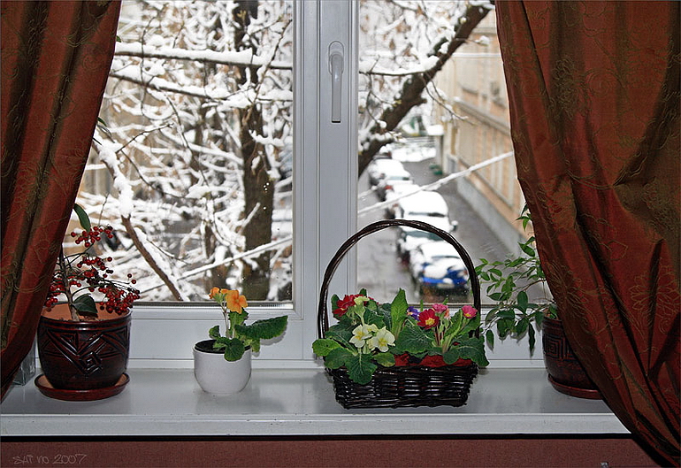 окно зимой 
